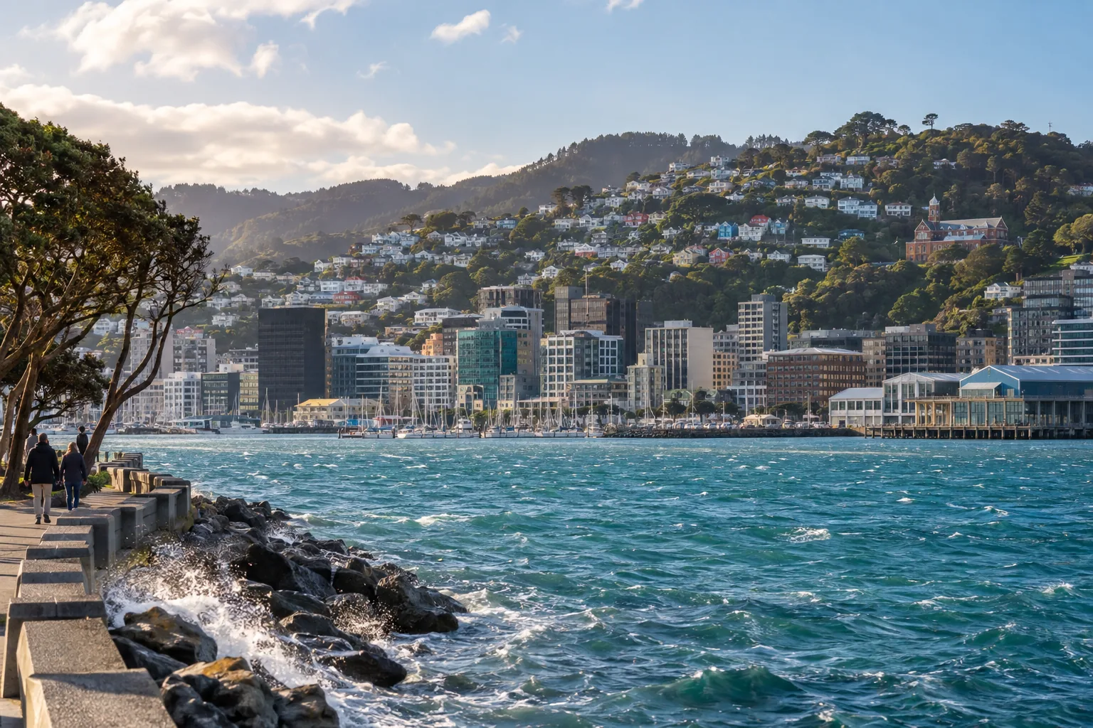 Generated destination view of Wellington